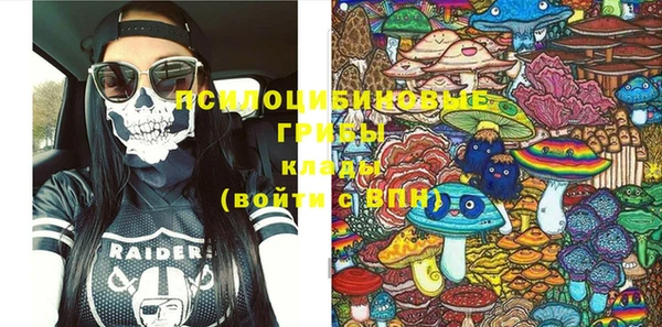 ГАЛЛЮЦИНОГЕННЫЕ ГРИБЫ Куйбышев