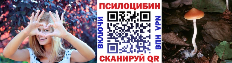 Купить где  Аксай  Псилоцибиновые грибы Psilocybine cubensis